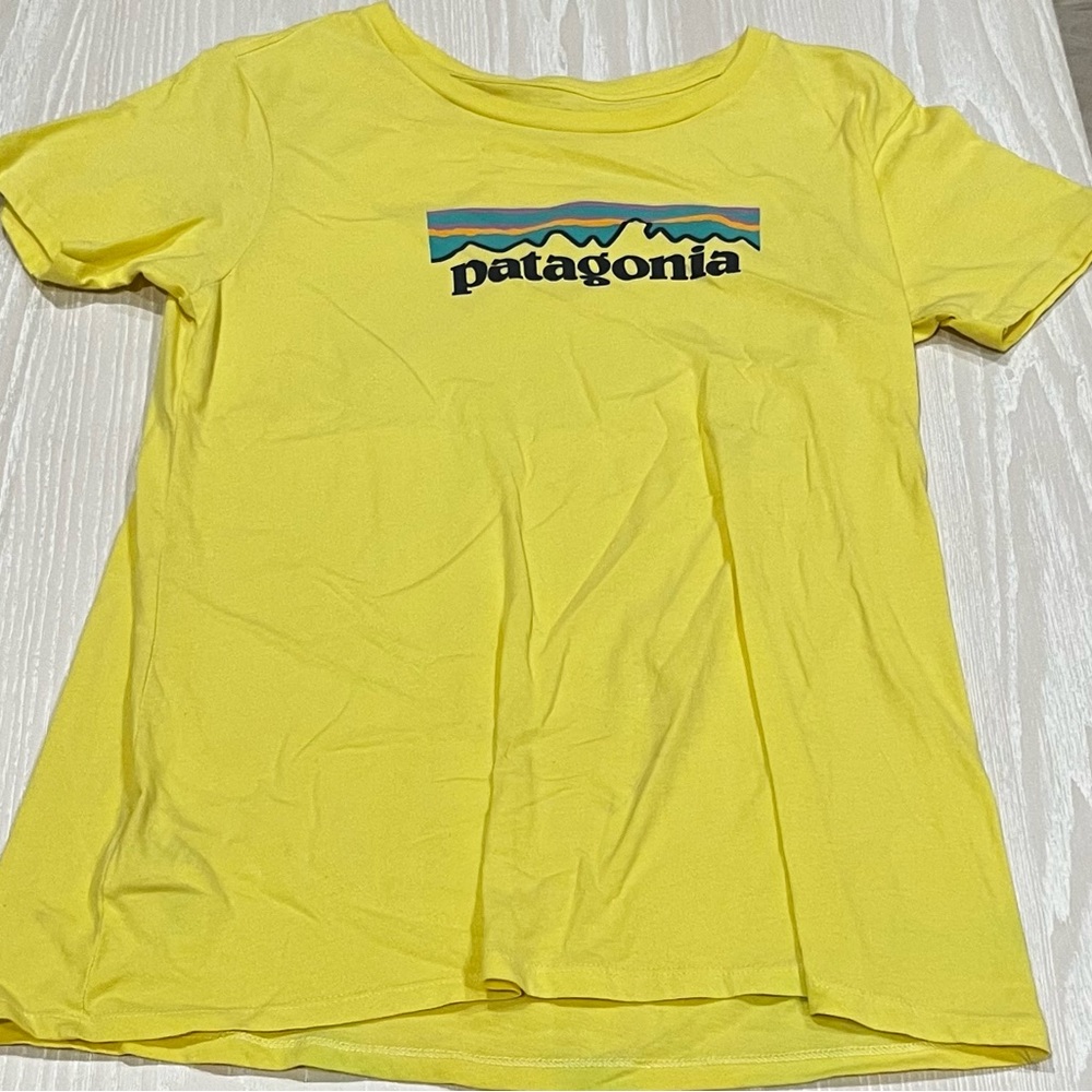 Patagonia t-shirt
